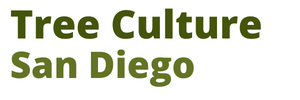 Tree Culture San Diego